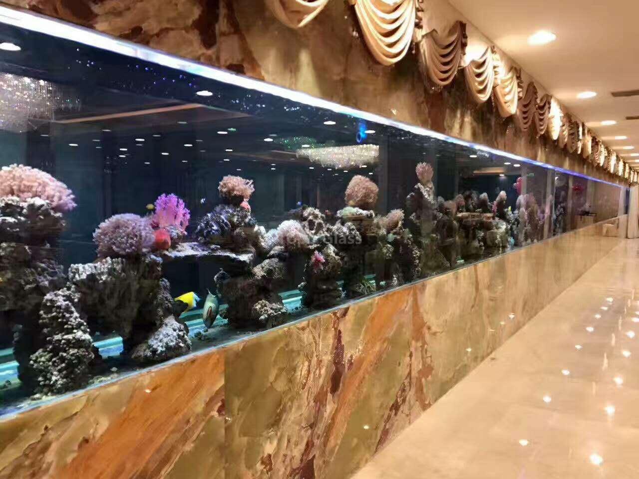 Fish Tank Glass 鱼缸玻璃