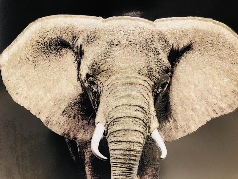 大象装饰画 大象装饰画